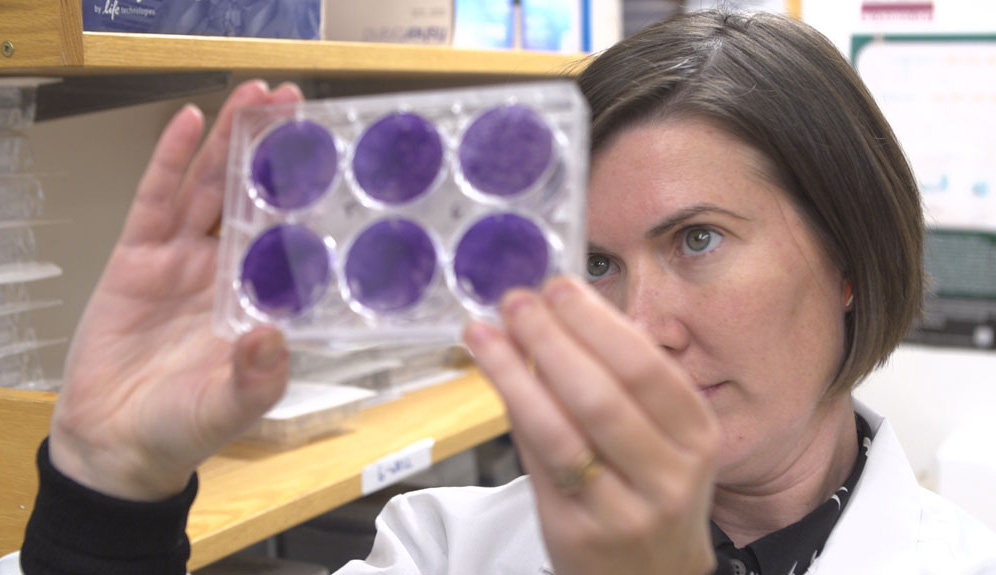 Dr. Kate Jeffrey in her lab holding up purple petri dishes.