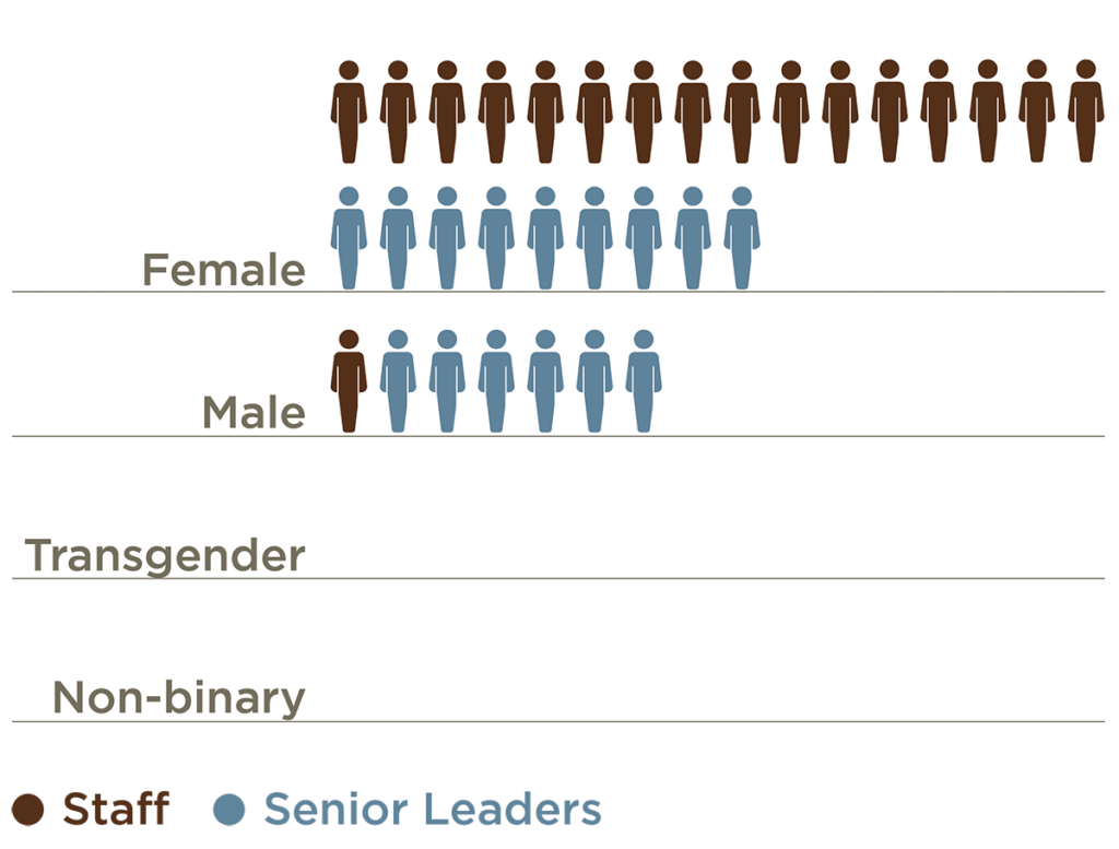 A chart that shows 60% of the Rainin Foundation's senior leaders identify as female and 94% of staff identify as female. 0% of staff and senior leadership identify as transgender or non-binary.