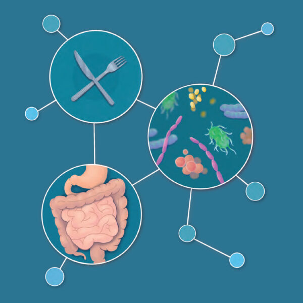 Three illustrations connected to form a report cover: a knife and fork, microbes and the gut.
