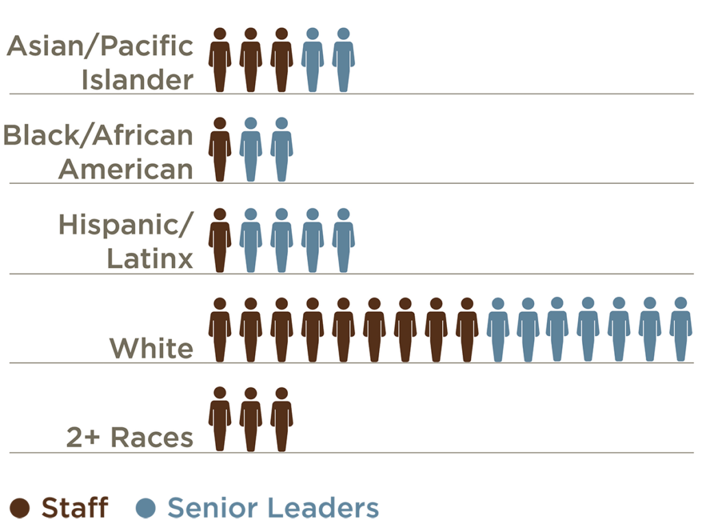 A chart that shows the race and ethnicity of Rainin Foundation staff and leaders. For senior leaders, 13% identify as AAPI, 13% identify as Black, 27% identify as Hispanic and 47% identify as white. For staff, 18% identify as AAPI, 6% identify as Black, 6% identify as Hispanic, 53% identify as white and 18% identify as 2 or more races.
