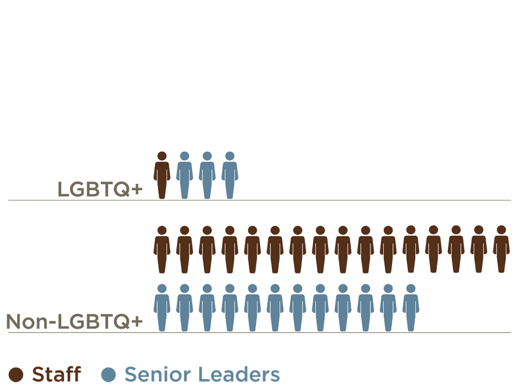 A chart that shows 20% of senior leaders and 6% of staff at the Rainin Foundation identify as LGBTQ+.