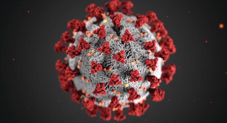A rendering of the coronavirus particle