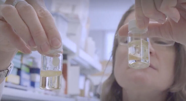 Close up of Dr. Gwendalyn Randolph holding up two vials of liquid in her lab.