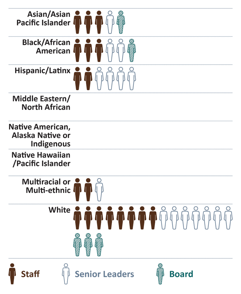 The Ethnicity/Race data in this visual chart is detailed in the accessible PDF linked above.