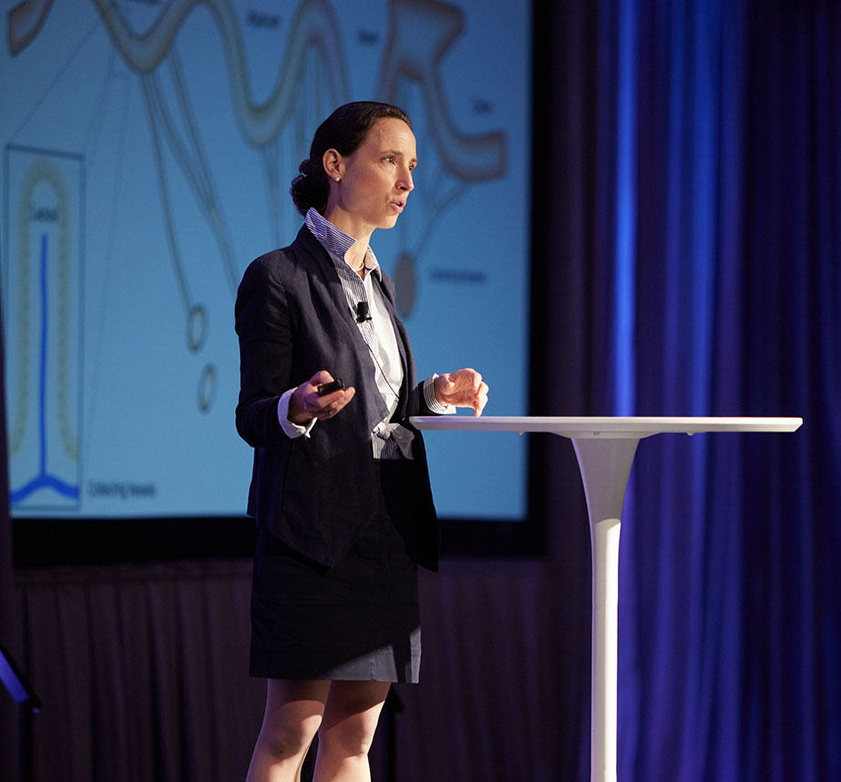 Person presenting in front of large projected image. The audience is not in the photo.