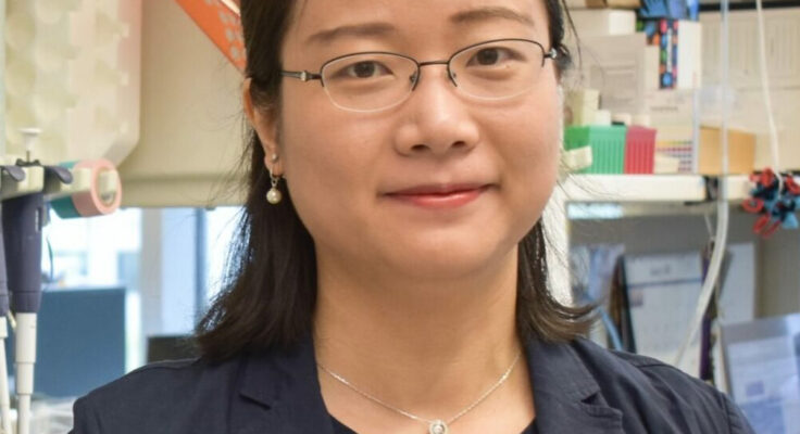 Headshot of Liangliang Hao