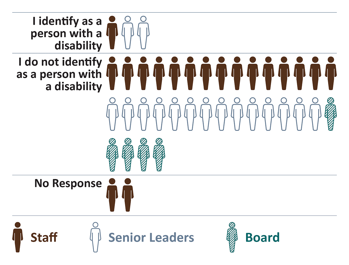 Disability data in this visual chart is described in the accessible PDF linked above.