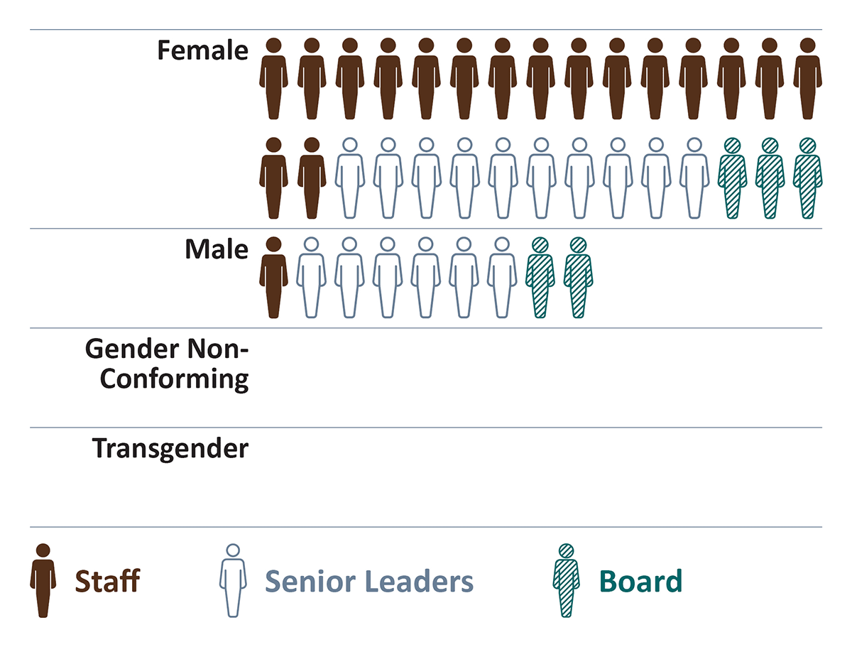 Gender data in this visual chart is detailed in the accessible PDF linked above.