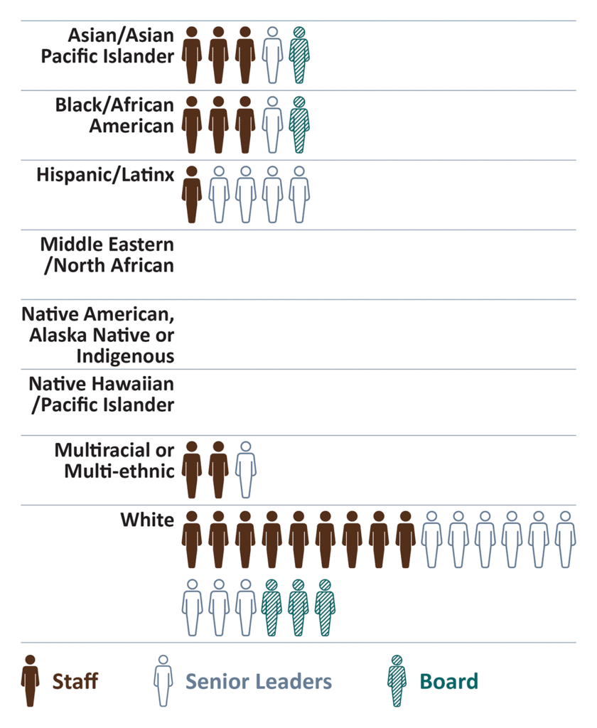 The Ethnicity/Race data in this visual chart is detailed in the accessible PDF linked above.