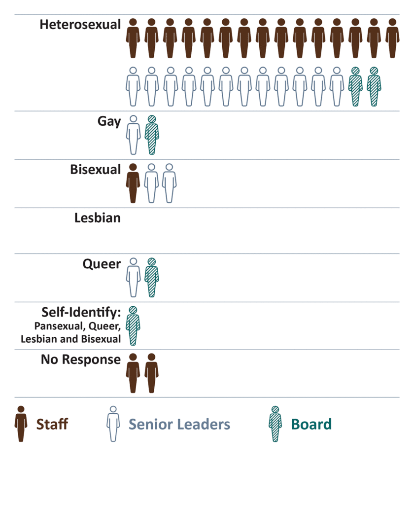 Sexual Orientation data in this visual chart is detailed in the accessible PDF linked above.