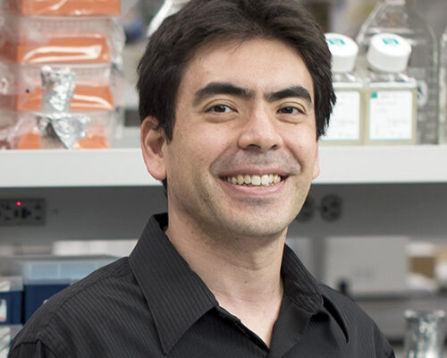 Headshot of Dr. Ken Cadwell