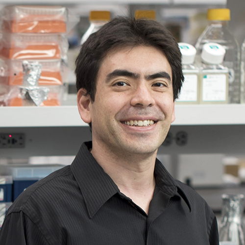 Headshot of Dr. Ken Cadwell