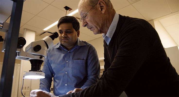 Dr. Steve Axelrod and Dr. Anand Navalgund working in the lab, using a microscope.