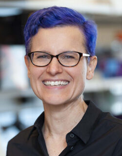 Headshot of Dr. Diehl