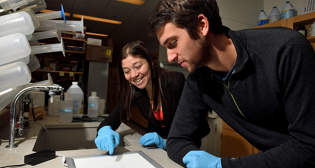 two people in a medical lab setting lean onto a lab countertop and look at a white board.