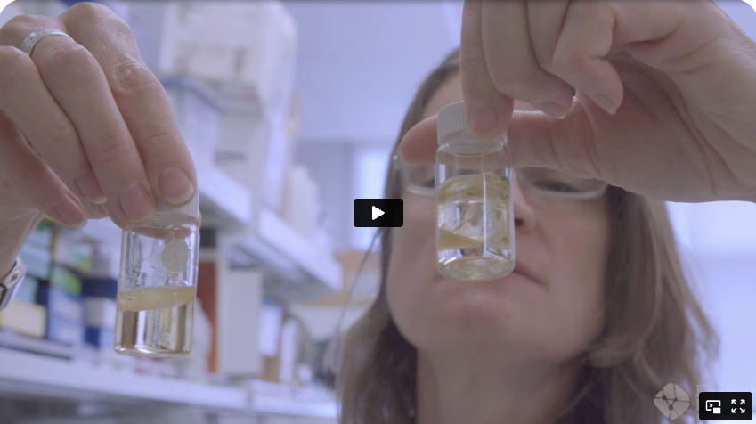23b72a28394cb10c9ee4771529776907c5045a90 Two people smile and stand closely, while posing for camera. The person on the right holds a wooden and black plaque with metallic lettering