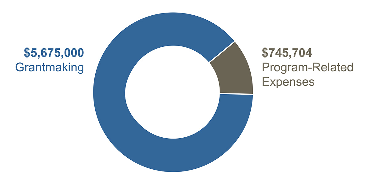 Donut chart showing $5,675,000 in Health grantmaking and $745,704 in program-related expenses.